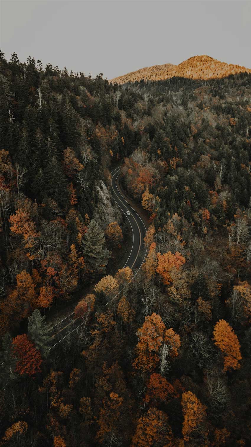 Blue Ridge Parkway