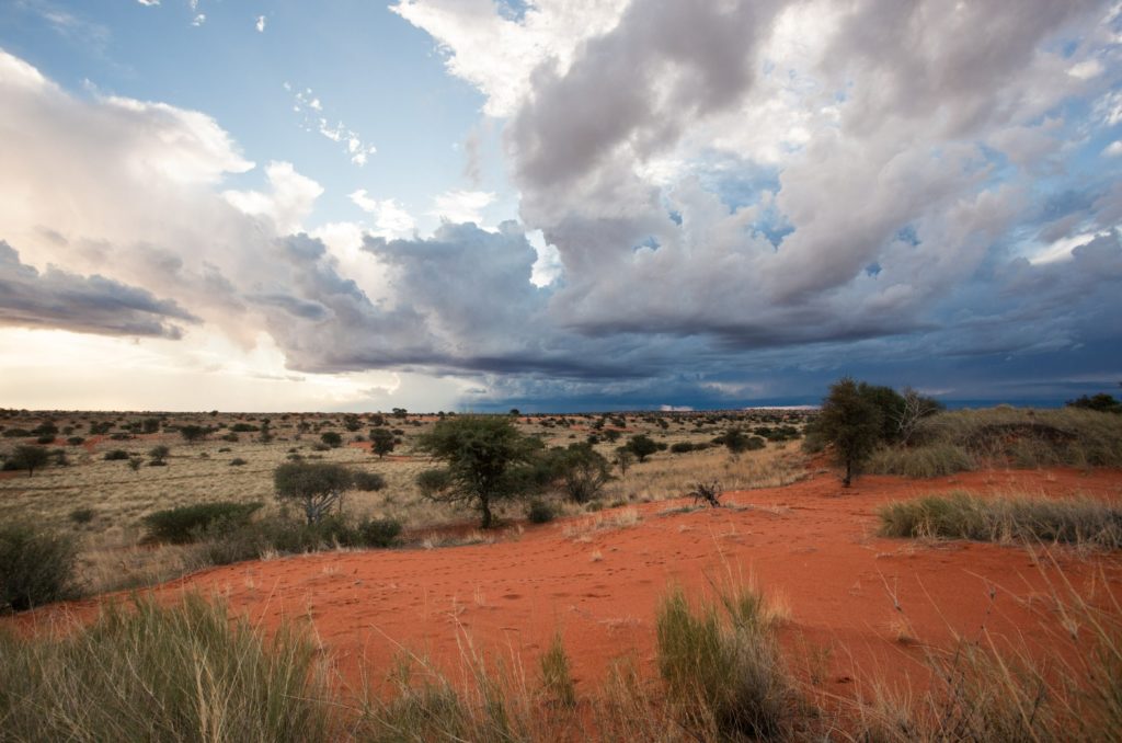 Roadtrip: du Kalahari au Botswana