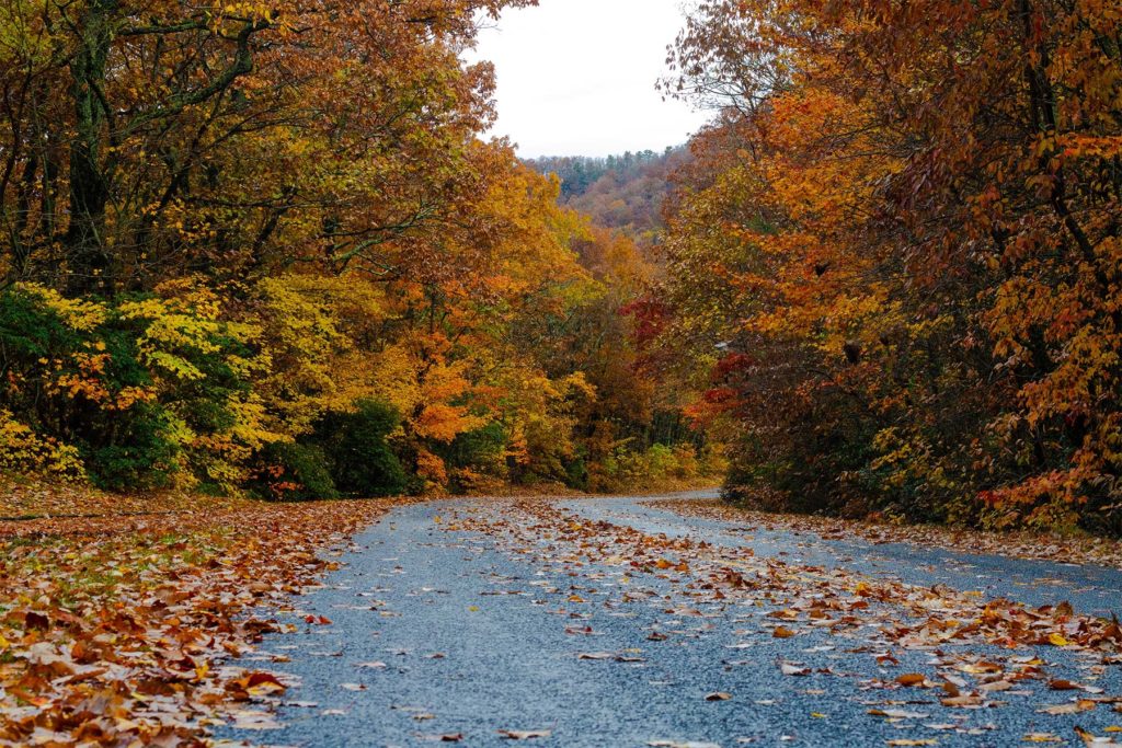 Road trip USA : les Great Smokey Mountains