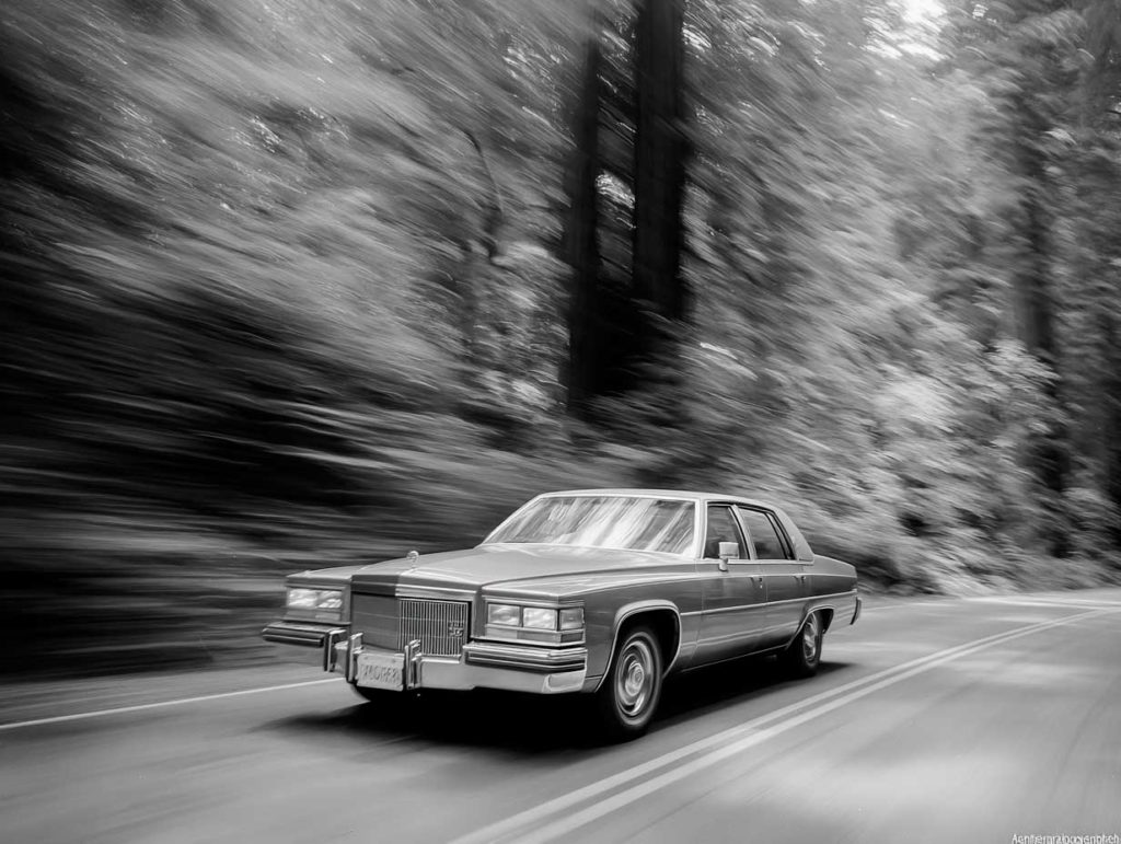 Roadtrip de San Francisco à Portland 